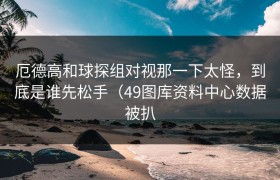 厄德高和球探组对视那一下太怪，到底是谁先松手（49图库资料中心数据被扒