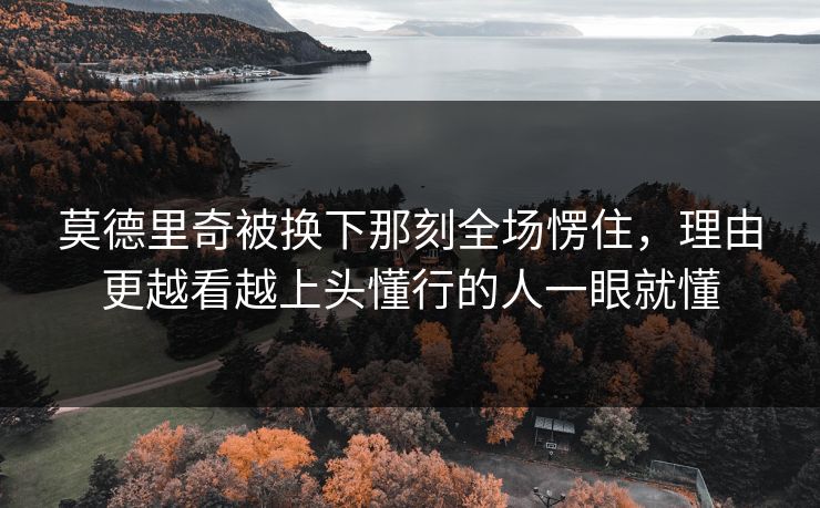 莫德里奇被换下那刻全场愣住，理由更越看越上头懂行的人一眼就懂