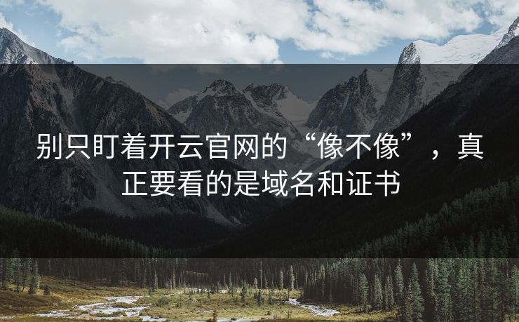别只盯着开云官网的“像不像”，真正要看的是域名和证书