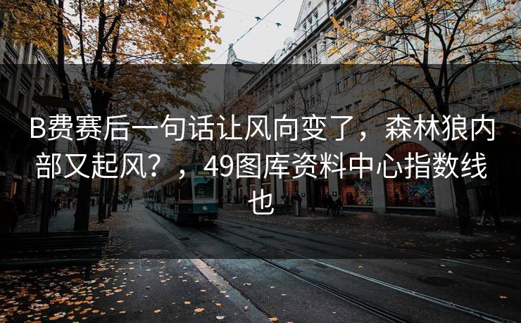 B费赛后一句话让风向变了，森林狼内部又起风？，49图库资料中心指数线也