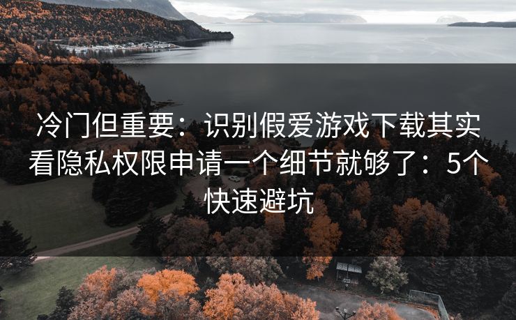 冷门但重要：识别假爱游戏下载其实看隐私权限申请一个细节就够了：5个快速避坑